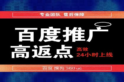 SEM广告投放中的数据监控与调整策略——以某品牌营销案例为例